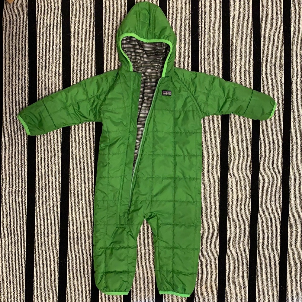 Patagonia bunting